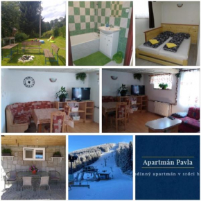 Apartmán Pavla Ostružná